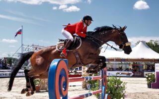 Essential Horse Jump Accessories Every Equestrian Should Own